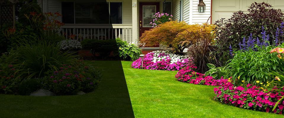 Ridgely Landscapers