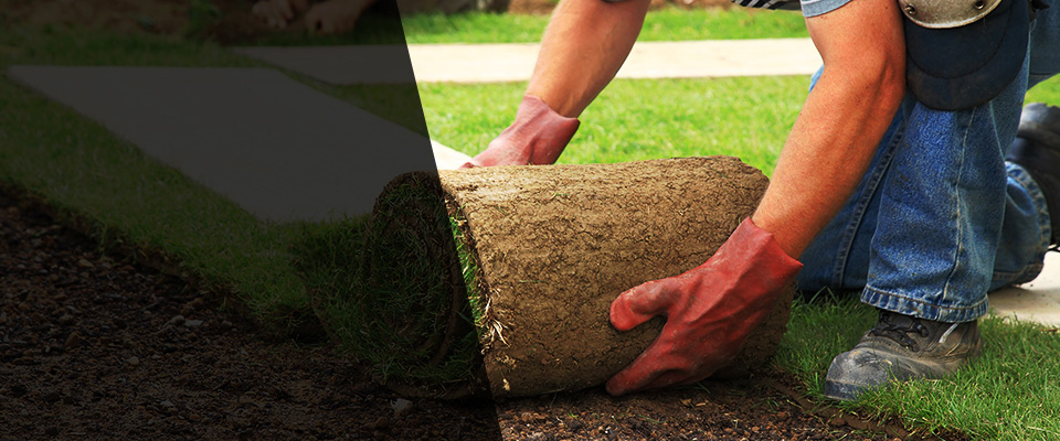 Ridgely Landscapers